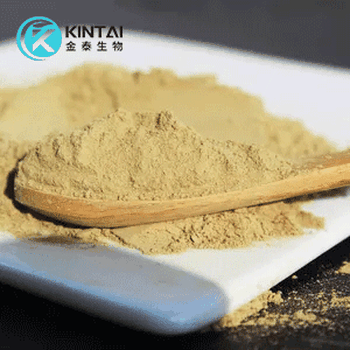 Yucca extract powder Yucca extract powder