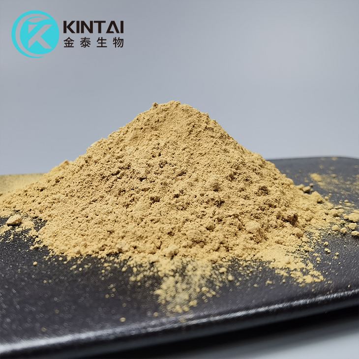 Cynara Scolymus Extract