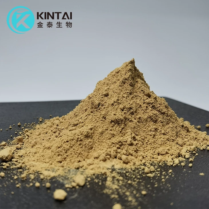 Sophora Root Extract