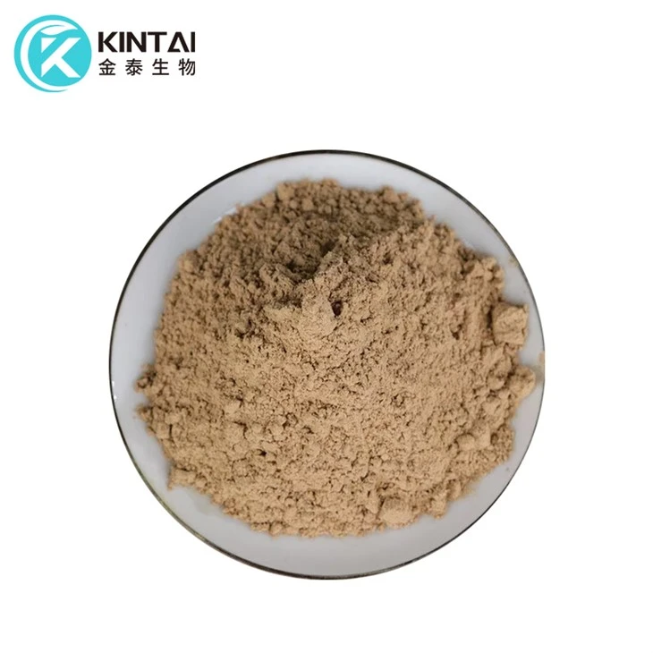 عصاره گلدیتسیا سیننسیس