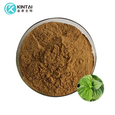 پودر عصاره ریشه گزنه