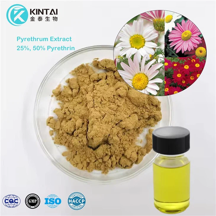 Pyrethrum Extract Pyethrins Powder